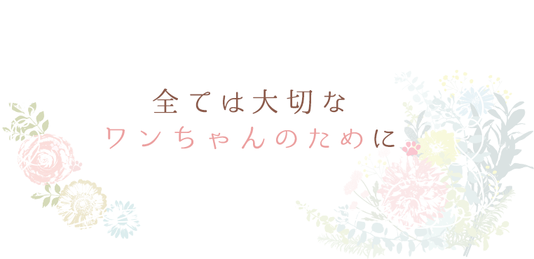 全ては大切なワンちゃんのために