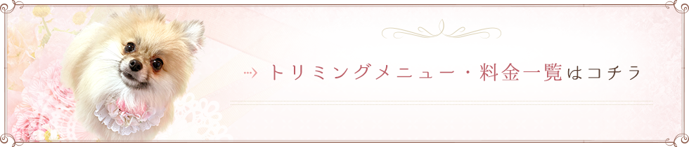 トリミングメニュー・料金一覧はコチラ