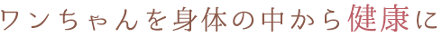 ワンちゃんの身体の中から健康に